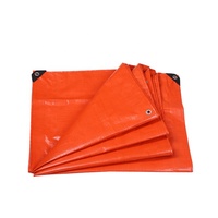 Bâche en PE imperméable en matériau recyclé écologique, résistante, pour usage extérieur, pour tentes et voitures