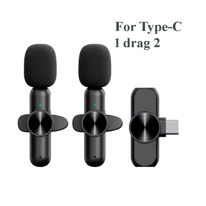 Noir-2Mic pour type-C