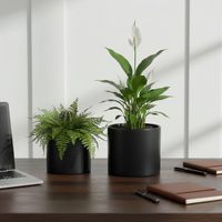 Pot de fleurs cylindrique moderne de 5 à 7 pouces, pots de plantes d'intérieur, drainage robuste, bouchons en caoutchouc amovibles, noir mat (lot de 2)