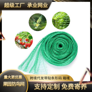 ตาข่ายป้องกันนก Chengye สีเขียว ทำจากพลาสติก PE ขนาด 100 ม. x 2 ม. สำหรับคลุมต้นไม้ผลไม้ในสวน ใช้สำหรับจัดสวนและป้องกันพืช - Product Image 5