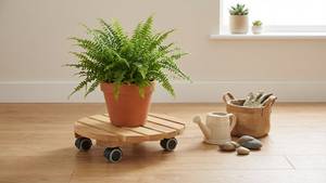 [BenK] Support de plantes en bois rond FSC à roulettes mobiles, système Wagner, rouleau pour plantes, classique, doux, très vendu - Product Image 4