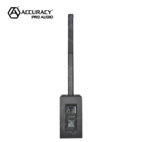 Accuracy Pro Audio AC22G, Nuevo Diseño Modular Único, Subwoofer de 2*10'', RMS 800W, Sistema de PA Profesional, Altavoces Activos de Columna para Piso