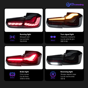 Conjunto de luz trasera LED Dragon Scale de 12V usada para 13-19 para BMW Serie 3 F30F35 luz trasera LED modificada para fines de fabricación - Product Image 4