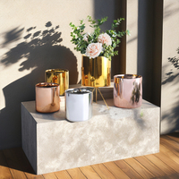 Pot en céramique électroplaqué moderne Kit de jardinière de fleurs Design de salon Fonction pratique Décor de bureau à domicile Boîtes d'emballage à usage hôtelier