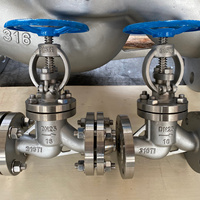 Vanne à soupape en acier moulé pour conduites d'eau, d'huile et de gaz PN16 PN25, extrémité à brides DN15-DN500 GB/T12235, bonnet boulonné