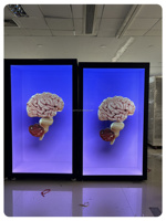 Vitrine interactive holographique 3D grand format de 86 pouces pour intérieur, avec écran LCD transparent, OEM, anti-reflet, tactile, SDK, pour centre commercial