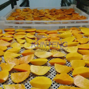 Mesin pembuat proses pengeringan mangga garis produksi pengering mangga sistem lengkap