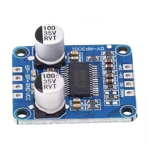 Nhà Máy Bán Hàng Trực Tiếp 10W/20W/30W Công Suất Cao Khuếch Đại Mô-đun Class D Khuếch Đại Kỹ Thuật Số Board 12V/24V Cung Cấp Điện DY-AP3001 - Product Image 3