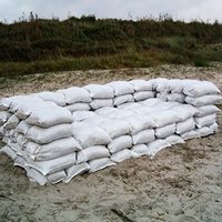 Sac d'emballage résistant aux inondations en PP tissé imprimé en héliogravure recyclable de 50 kg