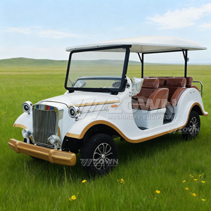 Electric White Vintage Classic Car Old Retro <b>Buggy</b> Antique Sightseeing Electric Vintage Classic Car for Adults Sale - Product Image 3