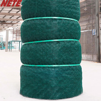 Tapis de protection 3D Geomat HDPE anti-corrosion et anti-érosion pour la protection des pentes routières extérieures et le renforcement de la végétation