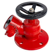 Robinet de sortie en fonte ductile type BS pour hydrant d'incendie avec bride rouge 2,5 pouces – Excellent prix – Équipement et accessoires de lutte contre l'incendie