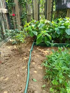 10/<span class=keywords><strong>15</strong></span>/20/25 <span class=keywords><strong>cm</strong></span> en plastique <span class=keywords><strong>jardin</strong></span> paysage pelouse bord robuste <span class=keywords><strong>bordure</strong></span> de clôture - Product Image 5