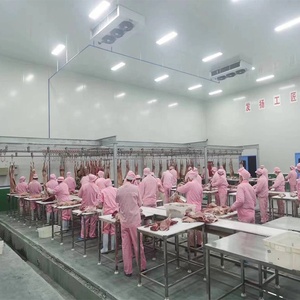 Table de mise à mort <span class=keywords><strong>des</strong></span> moutons vivants, outil de boucher, pompe à moteur, acier inoxydable, équipement d'abattoir à haute productivité pour la personnalisation - Product Image 5