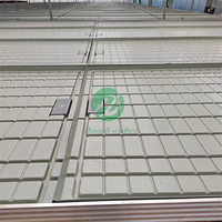 Équipement agricole : Système de culture vertical haute performance pour semis, serre hydroponique d'intérieur avec bacs ABS 4x8