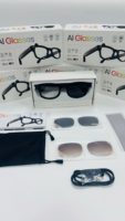 Gafas Inteligentes 2026 Fashion G2PRO con Asistente de IA de Traducción en Tiempo Real para Negocios, con Control por Voz y 1080P HD