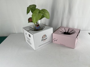 Boîte de fleuriste personnalisée 8*8*5 pouces, boîte de livraison de fleurs, boîtes de fleurs pour arrangements, transport sécurisé d'arrangements floraux - Product Image 2