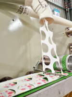 Machine de stratification célèbre de caboteur de tasse de papier de la Chine