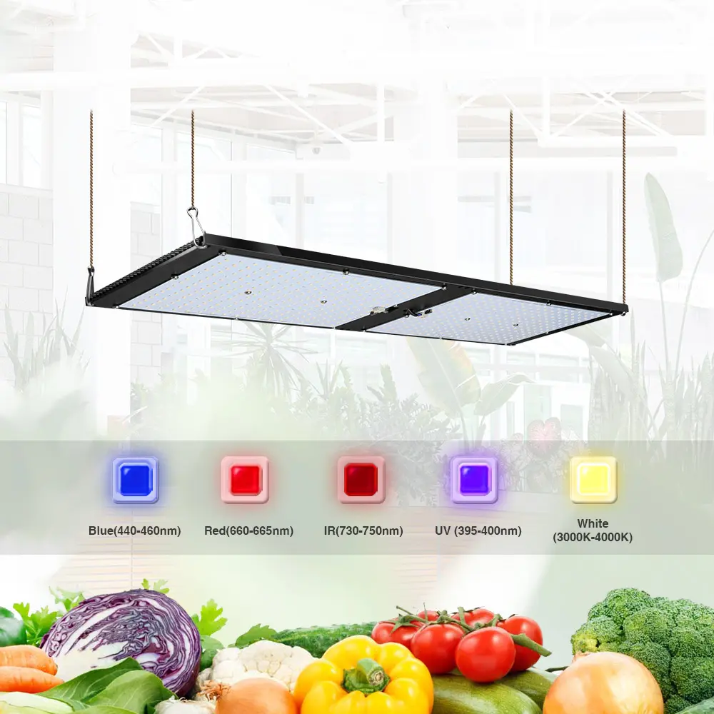 Adjustable Full Spectrum Lamp lm301h 120w 240w Indoor Plant Led Grow Light For Greenhouse Plants