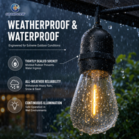 Guirlande lumineuse LED extérieure personnalisée de 10 m avec 20 ampoules, câble en caoutchouc de haute qualité, pour la décoration de restaurants, mariages et Noël