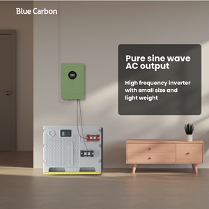 ブルーカーボン230vac MPPTインバーター4kWソーラーハイブリッドインバーターソーラーインバーターMPPTトラッカー付き - Product Image 5