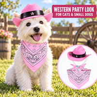 Ensemble chapeau de cowboy et bandana ajustables pour chats et petits chiens, costume western, accessoires pour Halloween et Noël