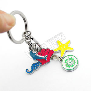 चाबी का गुच्छा के साथ निर्माता थोक ODM OEM कस्टम महासागर धातु कुंजी अंगूठी श्रृंखला - Product Image 2