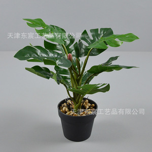 Plante verte artificielle en pot, mini bonsaï, feuille de coquille de tortue, décoration de maison, ornement de bureau, accessoire de photographie, 10 cm-30 cm - Product Image 3