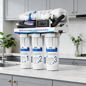 เครื่องกรองน้ำระบบ Reverse Osmosis แบบขายส่งตามสั่ง 5 ขั้นตอน สำหรับใช้ในเชิงพาณิชย์ ขนาด 100G 400G 600G 800G - Product Image 1