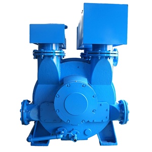 BOYUAN Bomba de Vacío de Anillo Líquido/Agua de Acero Inoxidable 2BEA303 Personalizable, Compresor Horizontal de Baja Presión para la Industria Química - Product Image 4