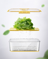 Contenants de stockage alimentaire modernes en plastique PET pour réfrigérateur avec couvercles pour légumes et fruits - Organisateur multifonctionnel pour réfrigérateur