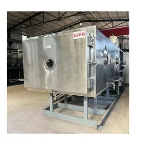 Selling Old 10 Square Meters Of Food Preserved Fruit Freeze-drying Machines