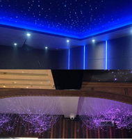 Cable de Fibra Óptica con Revestimiento de PVC Negro de 4.0 mm, con Extremo Luminoso, para Iluminación Subterránea