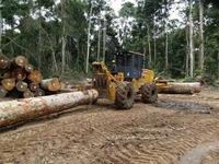 Nuovissimo macchinario forestale 240hp Forest Log Skidder Machine XC360 vendita calda a basso prezzo