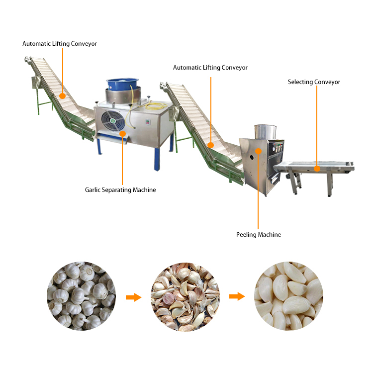 Versatile Garlic Slicing Production Line for