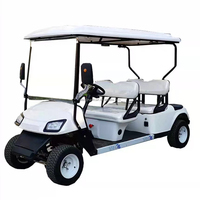 Voiturette de golf électrique à énergie solaire, couleur personnalisée, 6 places, buggy de golf touristique