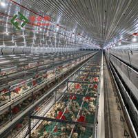 Équipement de cage en batterie pour poulets de chair, type H, avec mangeoire et abreuvoir automatiques à 3 niveaux, pour 50 000 poulets