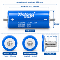 Sel Baterai Lithium Titanate Yinlong LTO Kelas A AS 2.3V 45Ah, Suhu Lebar -50~65 ° C untuk Daya Cadangan Audio Mobil OEM ODM