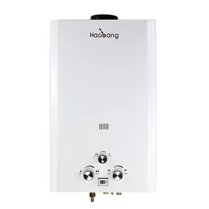 Zhongshan Golden Supplier Hot Selling Instant 11L Gas Fired Wall Mounted Water Heater