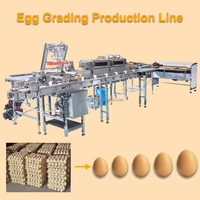 Ligne de production entièrement automatique pour œufs pasteurisés et transformation de liquide d'œuf