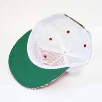 Gorra de Béisbol Personalizada con Logotipo, Diseño Desestructurado de 5 Paneles, Parche Bordado, Visera Plana, Malla, Cierre a Presión, Rayas, Estilo Camionero