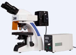 LED 쌍안 형광 현미경 무한 계획 현미경 (BM-2000IFB) - Product Image 4