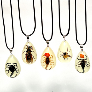 Kalung liontin kalajengking dalam gelap pria, Kalung liontin kuning serangga asli bandul Resin - Product Image 1