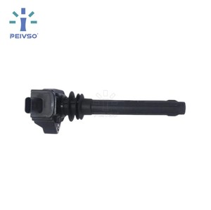Bobines d'allumage PEIVSO directement de l'usine pour Nissan, Lada, Peugeot 301 308 1.6L OEM 0221504027 - Product Image 1