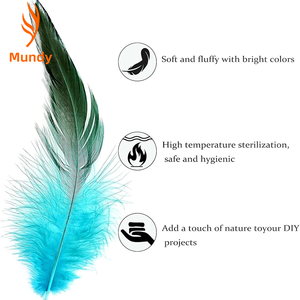 Plumes de Selle Assorties pour Embellissements Vestimentaires, Costumes de <span class=keywords><strong>Pirate</strong></span>, Accessoires de Cheveux de Mariée, Arrangements Floraux - Product Image 4