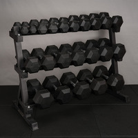 Haltère hexagonal noir de 10 kg en PVC TPE pour équipement de fitness à domicile, durable et antidérapant