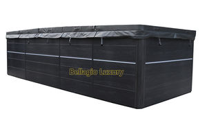 Piscina de 6 metros de doble zona, <span class=keywords><strong>spa</strong></span> de 20 pies, bañera CE - Product Image 2