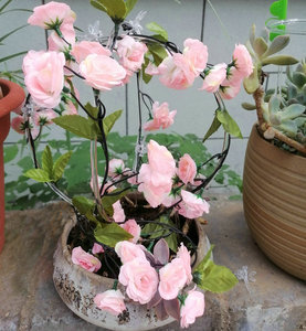 Tùy Chỉnh Leo Vòng Rõ Ràng Acrylic Cây Trellis U Vòng Tròn S Tổ Ong Chậu Cây Cây Hỗ Trợ Cho Trong Nhà - Product Image 3