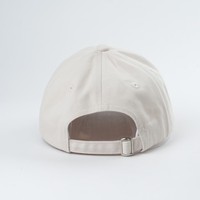 Mode Hoge Kwaliteit Katoen Zomer 6-Panels Baseballpet Volwassenen Custom Logo Geborduurde Pet