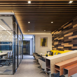 Aveeno giải trí thương mại trang trí nội thất không thấm nước U hình dạng WPC trần giả Thiết kế tấm - Product Image 2